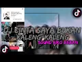 Download Lagu DJ CINTA SAYA BUKAN KALENG KALENG VIRAL TIK TOK!!