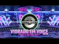 VIDRADO EM VOICE (Techno Disco Mix) | Viral \u0026 Trending