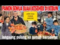 Lagu PANEN SEMUA BUAH KESEMEK DI KEBUN \u0026PULANG KE BARCELONA LAGI KARENA ANAK2 MASUK SEKOLAH 