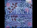 Harpsichord Concerto No. 3 in D Major, BWV 1054: I. Without Tempo Indication