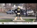 Think Iowa City seeks artists for Herky on Parade 3