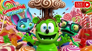 Gummy Bear All Favorite Songs 🔴 LIVE | Nonstop Songs | Dance Songs LIVE | Candy Fun | Baby Toonz