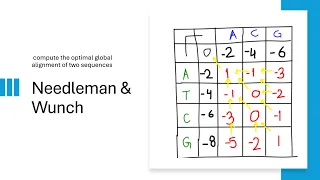 Needleman-Wunsch Algorithm Global Sequence Alignment with Example