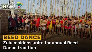 reed dance zulu maidens unite for annual reed dance tradition