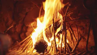 A Vantastic Summer Plan : )