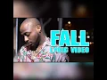 Davido "fall" lyrics video