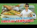 TONGSENG AYAM MUDAH! TINGGAL CEMPLUNG!