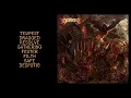 Download Lagu DESCENT - Order of Chaos, 2022