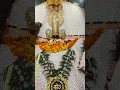 Download Lagu bar da ra shyam jholi barad ra na bhail bato ma din beta rat bat na #viral video#love shyam bhajan
