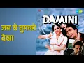 जब से तुमको देखा | Damini | Kumar Sanu | Sadhana Sargam Songs | Meenakshi Seshadri