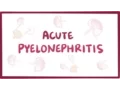 Acute pyelonephritis urinary tract infection - causes symptoms pathology