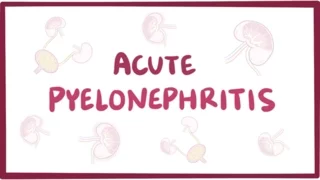 Acute pyelonephritis urinary tract infection - causes symptoms pathology