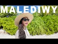 Download Lagu MALEDIWY - tego się nie spodziewaliśmy