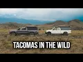 Download Lagu Van onverharde wegen tot rotsbogen – Overlanding in Colorado met Tacoma Rigs