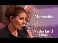 Download Lagu Maranatha - Nederland Zingt