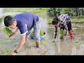 Download Lagu On the weekend, Nam went to help his best friend plant rice in the field