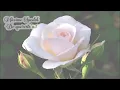 Máximo Spodek, De quererte así / De t'avoir aimée, Canción Romántica de Francia, Piano, Orquestal