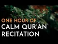 Calm Quran Recitation For Sleep | Al Fatiha | Ayat Al Kursi | Al Muawidhat