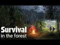Download Lagu CAMPING HUJAN DERAS//BERTAHAN HIDUP DI HUTAN !!//ASMR//RAIN