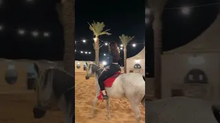 فرس فرس من حسنها الحسن انخرس 