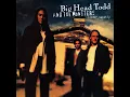 Bittersweet - Big Head Todd and The Monsters