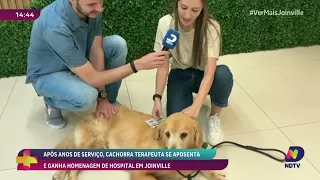 Cachorra terapeuta se aposenta após anos de serviço e recebe homenagem em Joinville