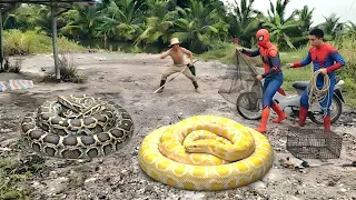 Brave Hunter Rescues Young Man From 2 Giant Pythons