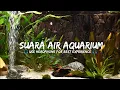 Download Lagu RELAKSASI SUARA AIR DI DALAM AQUARIUM