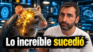 NEURONAS HUMANAS CRECEN en el Cerebro de un RATÓN VIVO y Sucede ALGO MUY EXTRAÑO