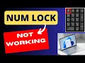 Num Lock key not working Windows 11 Fixed