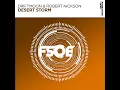 Desert Storm (Extended Mix) - Driftmoon & Robert Nickson