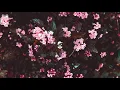 RL Grime - UCLA ft. 24hrs