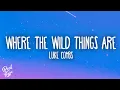 Download Lagu Luke Combs - Where The Wild Things Are