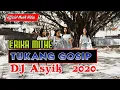 Download Lagu TUKANG GOSIP - LAGU DJ ASYIK 2020 - ERIKA MITHE