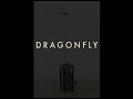 Dragonfly Automaton