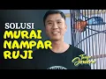 Lagu Murai Nampar ❓ by Roni Sarikat #DenidenTanyaJawara