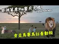 Download Lagu 【肯亞】非洲草原Pre蜜月之旅！肯亞馬賽馬拉國家公園找動物囉！ Feat. Maui JIm