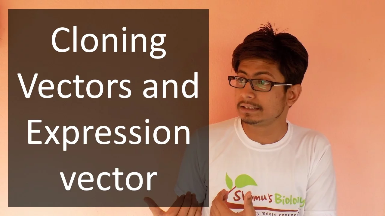 Recombinant DNA technology | DNA Vectors | Cloning Vector And Expression Vector