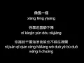 Joker Xue 薛之謙 - Xiang Feng Yi Yang 像風一樣 Lyrics Pinyin