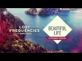 Lost Frequencies feat. Sandro Cavazza - Beautiful Life (Extended Mix)