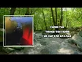 Wolf Alice - Blush (Lyrics)