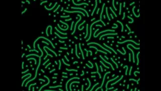 Diffusion Reaction Simulation
