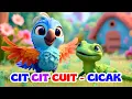 Download Lagu Cit Cit Cuit Cicak di Dinding dan Lagu Anak Indonesia - nursery rhyme Indonesia - Balita TK PAUD