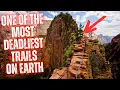 Lagu The Fall Near Angels Landing | Hike Gone Horribly Wrong in Zion National Park