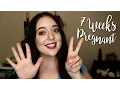 Betas Didn t Double 7 Weeks Pregnant Vlog