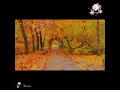 Download Lagu SAAT KU PULANG MENGHADAP BAPA #pujianpenyembahan #saatteduh #lagurohanikristen #pdterastus #worship