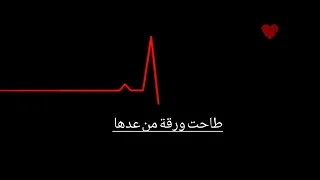 تخيل شجرة بيها أوراق بطيء الضوء الاخضر 