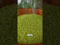 Download Lagu Mung beans processed in strange way