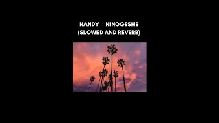 nandy ninogeshe slowed and reverb 