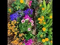 Monet's Garden
